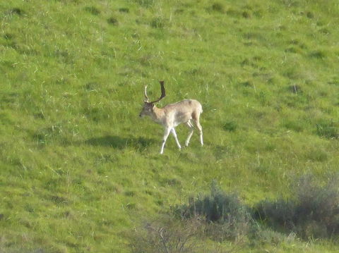 Molly's Chase - QLD Tourism 12