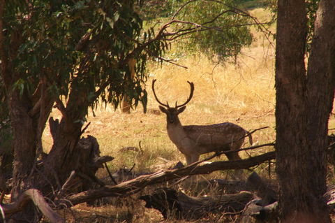 Molly's Chase - QLD Tourism 11