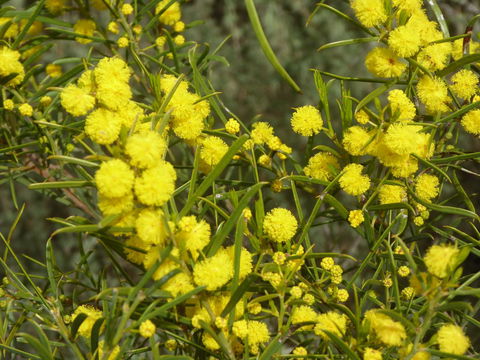 Molly's Chase - QLD Tourism 14