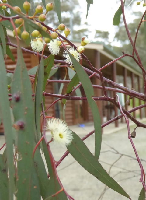 Molly's Chase - QLD Tourism 9
