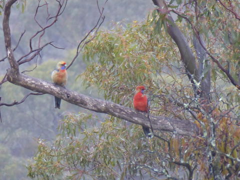 Molly's Chase - QLD Tourism 13