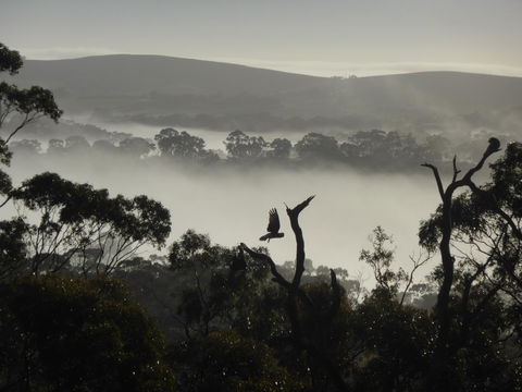 Molly's Chase - QLD Tourism 28