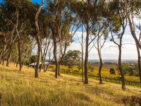 Shadow Creek McLaren Vale - QLD Tourism 5