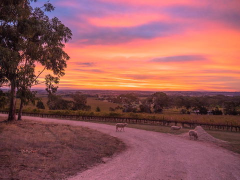 Shadow Creek McLaren Vale - QLD Tourism 24