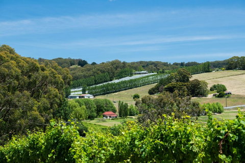 The Other House - Queensland Tourism 3