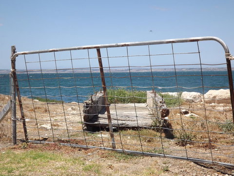 Home On Torrens - QLD Tourism 15