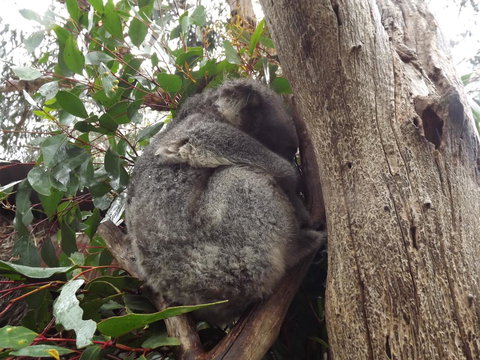 Home On Torrens - QLD Tourism 32