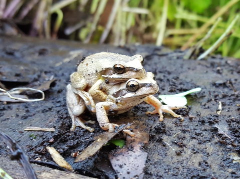 Coorong Waterfront Retreat - QLD Tourism 30