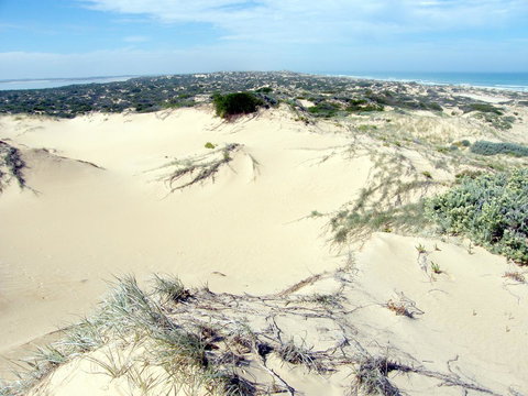 Coorong Waterfront Retreat - QLD Tourism 32