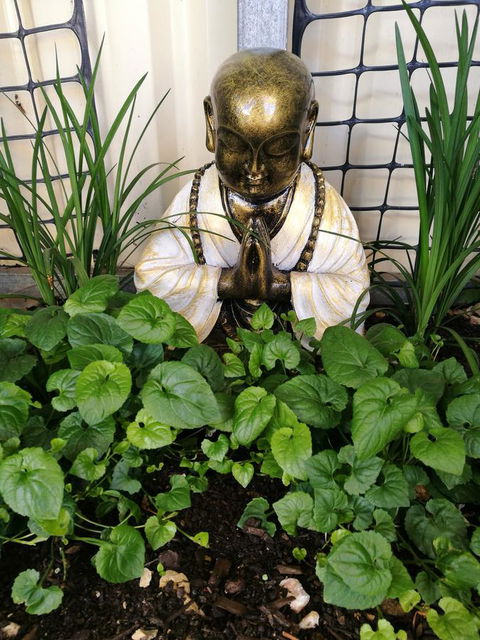 Hilda Anna's - Queensland Tourism 44