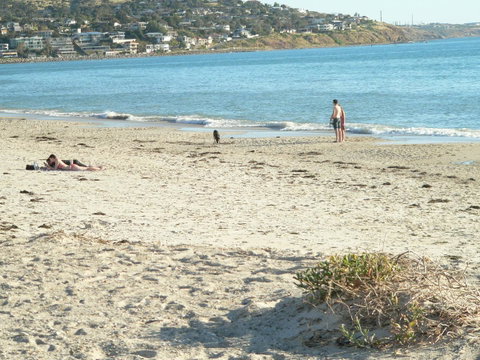 Brighton Beach House - QLD Tourism 12
