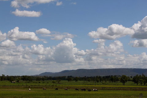 Isis Motel Scone - QLD Tourism 5