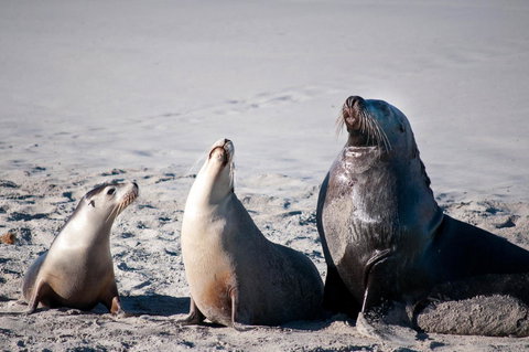 Admirals Inn - Queensland Tourism 39