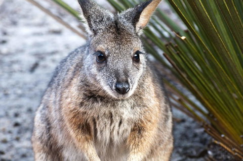 Admirals Inn - Queensland Tourism 32