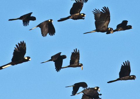 Admirals Inn - Queensland Tourism 42