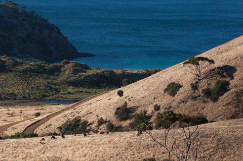 Admirals Inn - Queensland Tourism 44