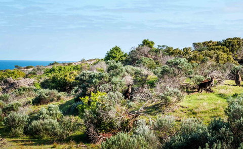 Admirals Inn - Queensland Tourism 36