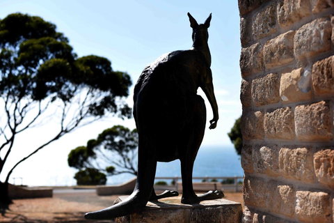 Admirals Inn - Queensland Tourism 12