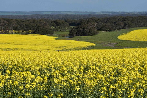 Admirals Inn - Queensland Tourism 41