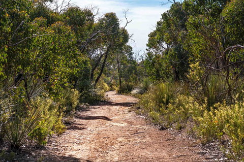 Admirals Inn - Queensland Tourism 35