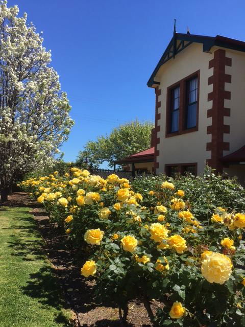 Wine And Roses Bed And Breakfast - QLD Tourism 5