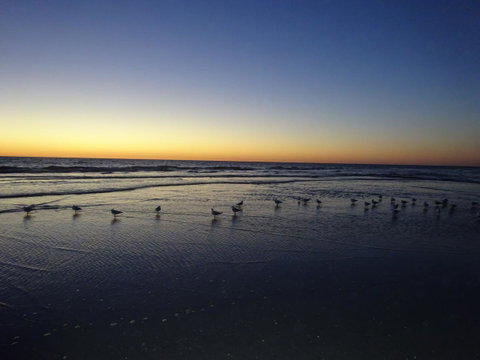 Selene Holiday Apartment @West Beach - QLD Tourism 6