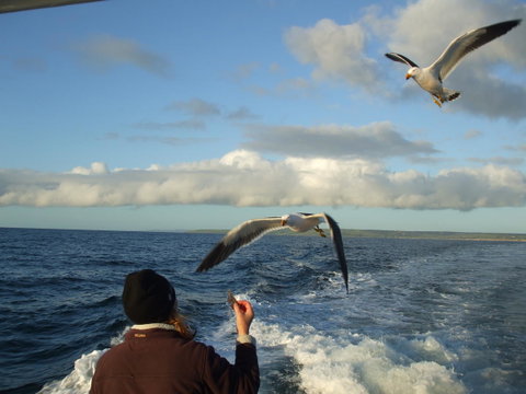 Casuarina Coastal Units - QLD Tourism 25