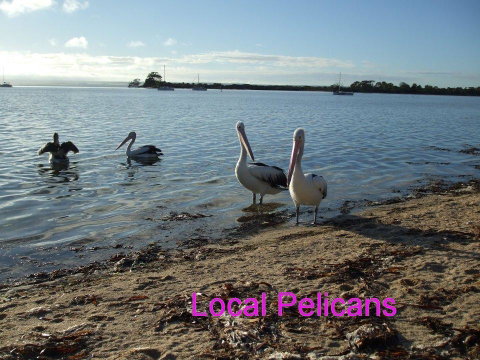 Casuarina Coastal Units - QLD Tourism 23