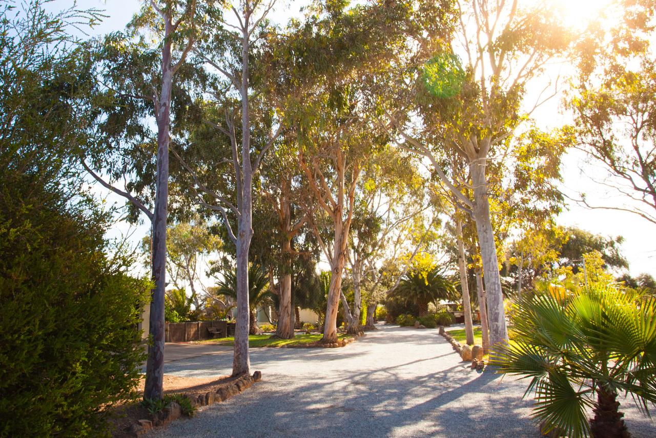 Butler SA QLD Tourism