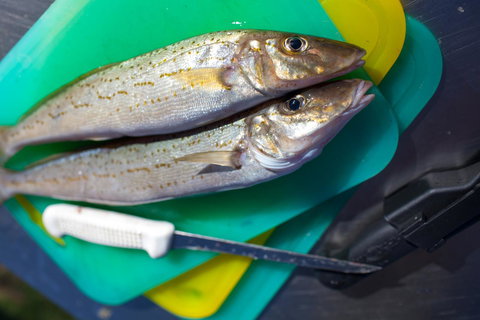 Modra\'s Apartments - QLD Tourism 17