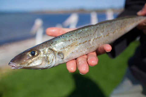 Modra\'s Apartments - QLD Tourism 18