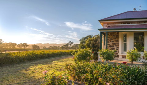 Barossa Shiraz Estate - QLD Tourism 6