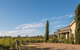 Barossa Shiraz Estate - thumb 13