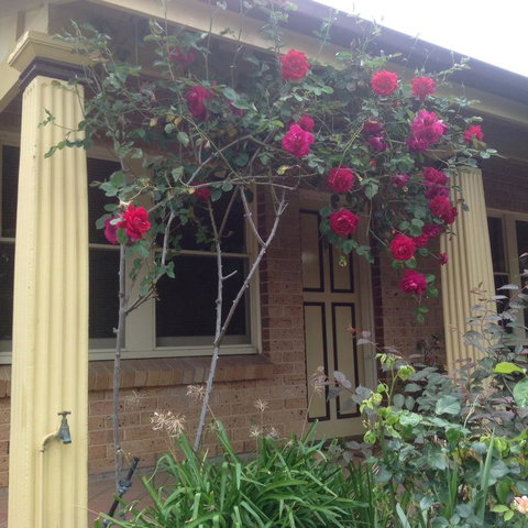 Oats Cottage - QLD Tourism 3