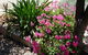 Country Bakehouse Accommodation - thumb 18
