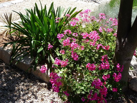 Country Bakehouse Accommodation - Queensland Tourism 18