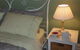 Country Bakehouse Accommodation - thumb 14