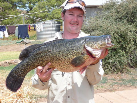 Country Bakehouse Accommodation - Queensland Tourism 20
