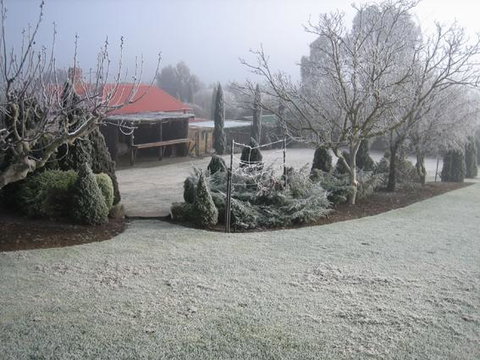 Vineyard Cottage BnB - QLD Tourism 15