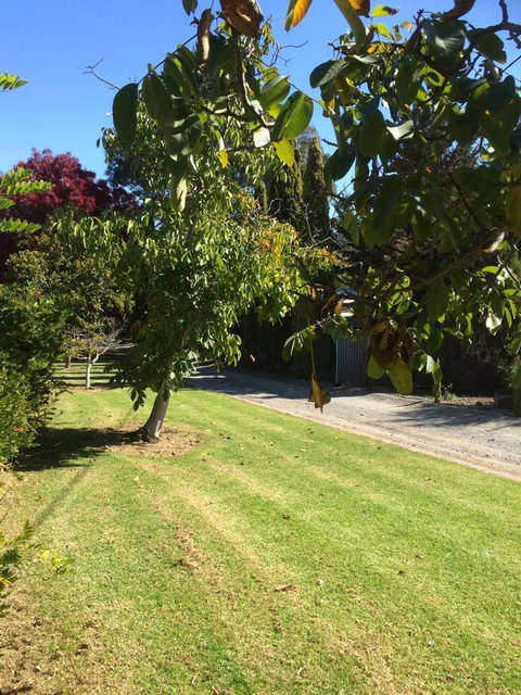 Vineyard Cottage BnB - QLD Tourism 17