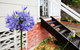 Hudson Bay @ Basin View-Pet Friendly-15 Mins To Hyams Beach - thumb 38