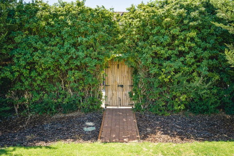 Mick O\'Sheas - Queensland Tourism 32