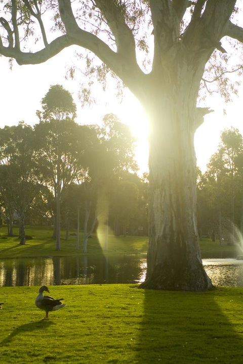 Serafino McLaren Vale - QLD Tourism 15