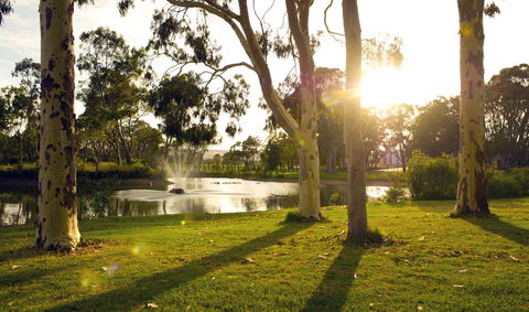 Serafino McLaren Vale - QLD Tourism 14