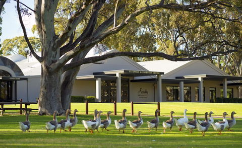 Serafino McLaren Vale - QLD Tourism 0