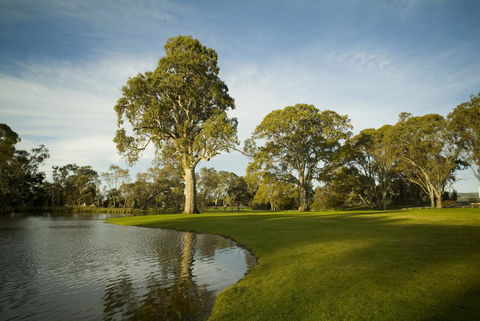 Serafino McLaren Vale - QLD Tourism 16