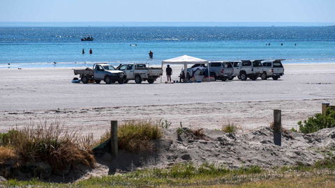 Wallaroo Holiday Park - QLD Tourism 9