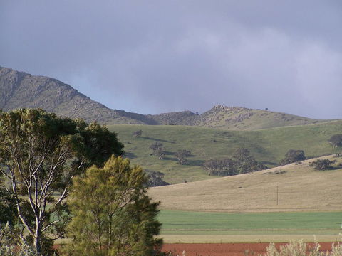 Burra Motor Inn - Queensland Tourism 32
