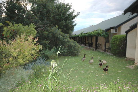 Burra Motor Inn - Queensland Tourism 24