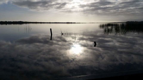 PS Federal Retreat Paddle Steamer Goolwa - QLD Tourism 16